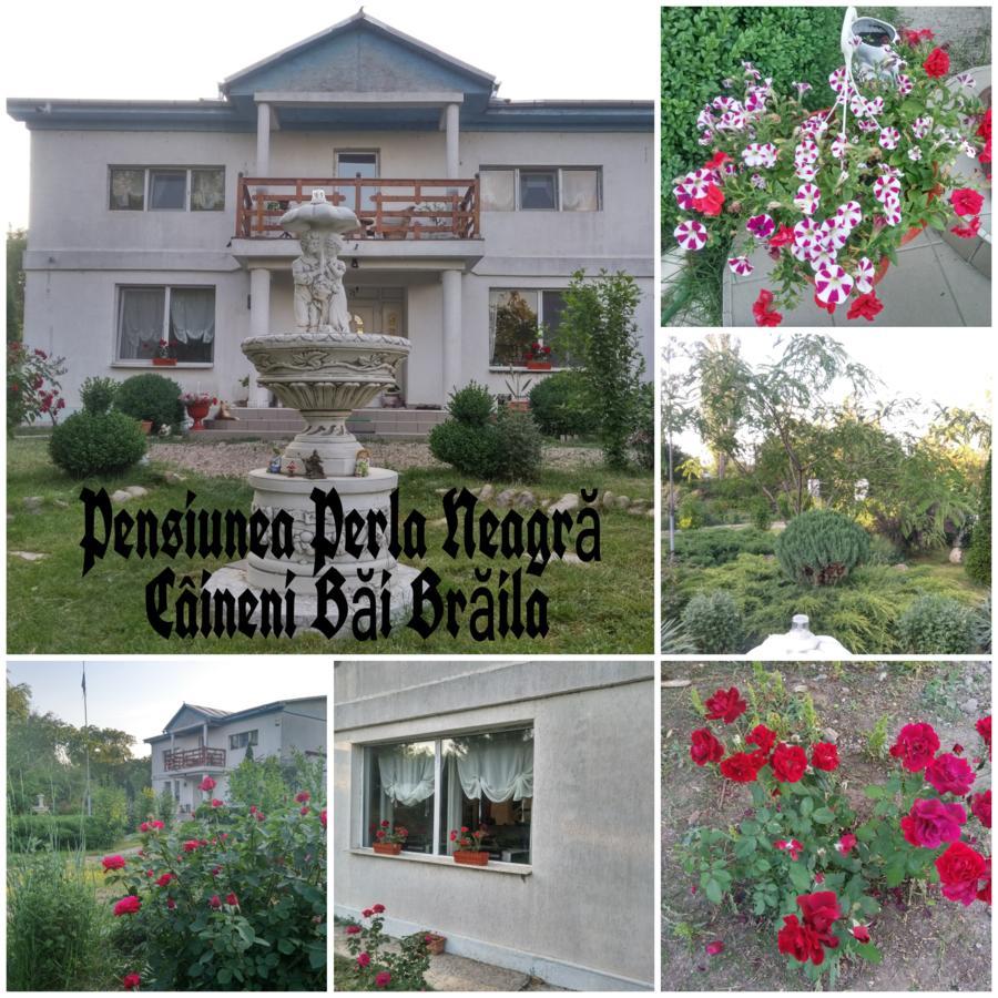 Perla Neagra Lotus Spa Caineni-Bai Extérieur photo